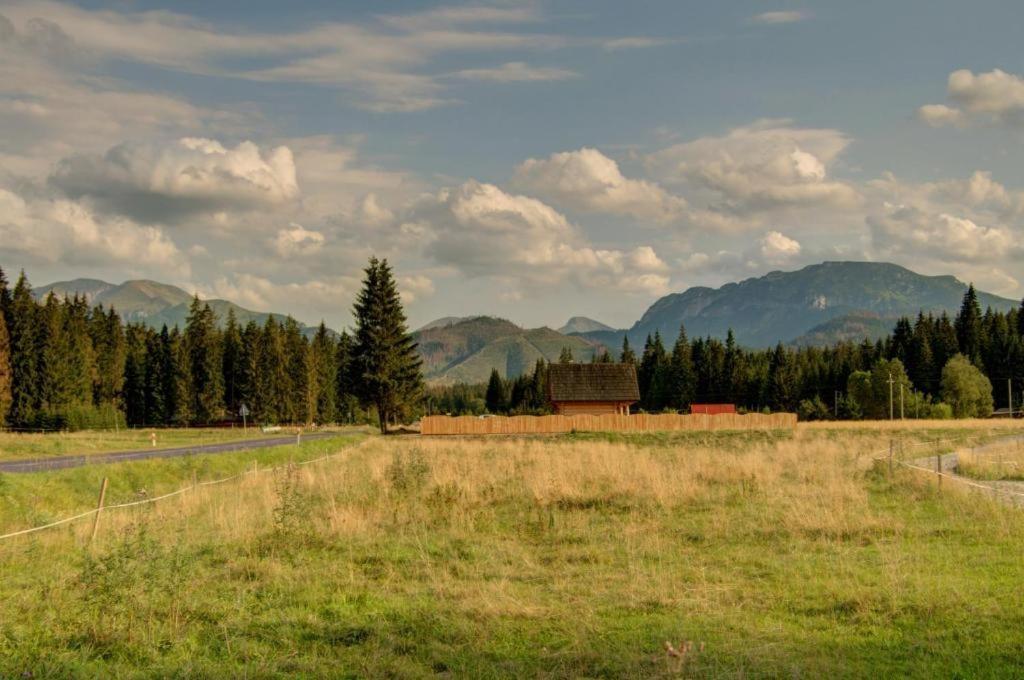 Domek Regionalny Baligowka Witów Екстериор снимка